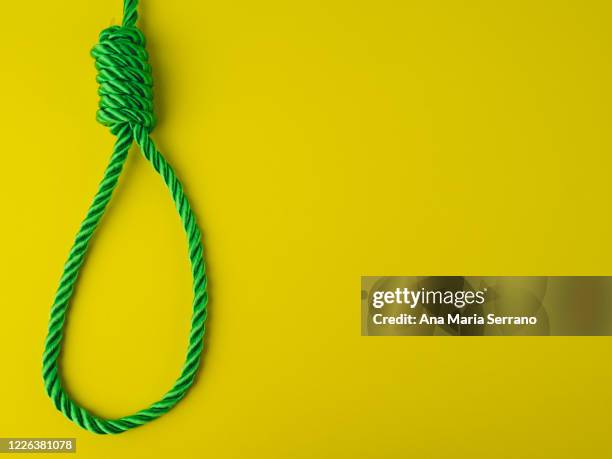 a hangman's knot on a yellow background - hanging gallows stock pictures, royalty-free photos & images