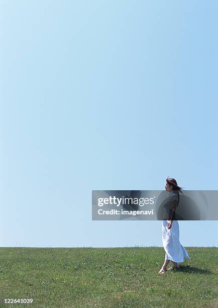 woman walking in field - windy skirt 個照片及圖片檔