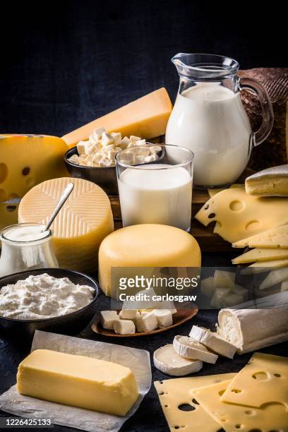 various kinds of dairy products on a dark bluish background - dairy product imagens e fotografias de stock