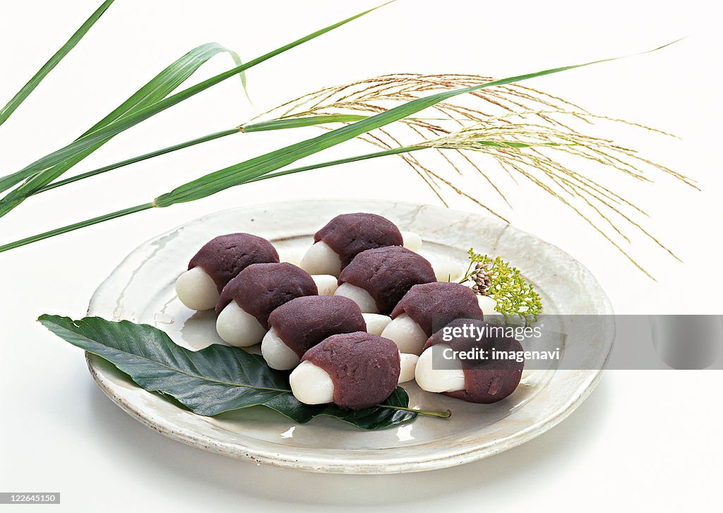 Dumplings Offered to the Moon and Japanese Pampas Grass