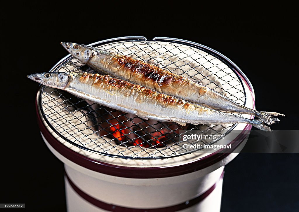 Grilled Saury
