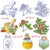 medicinal herbs 2
