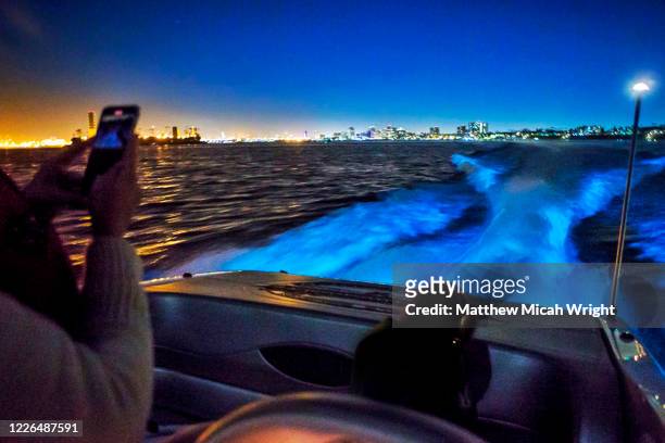 boating through the long beach harbor with bioluminescent waves. - bioluminescence stock-fotos und bilder