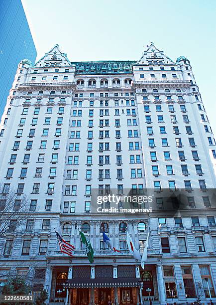 plaza hotel - plaza hotel manhattan stockfoto's en -beelden