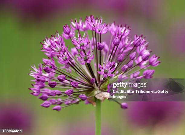 Spring Photo Minnesota Minnesota Spring Landscape Photos and Premium High Res Pictures - Getty ...