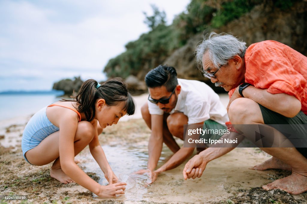 Three generation family playing in tide pool, Japan