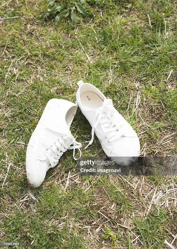 A pair of sneakers in the field