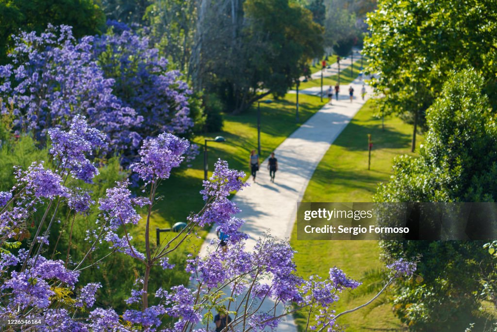 People walk in a garden in Spring, Valencia, Spain