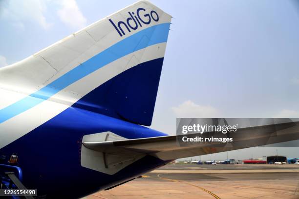 indigo flight standing at indira gandhi airport, new delhi, india - navy blue stock pictures, royalty-free photos & images