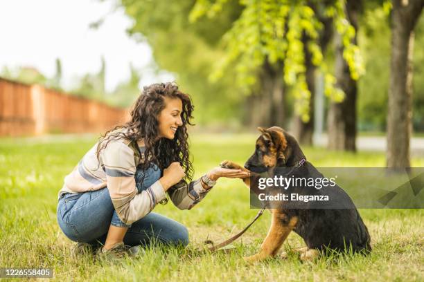 mulher brincando com seu cachorro no parque - spring training - fotografias e filmes do acervo