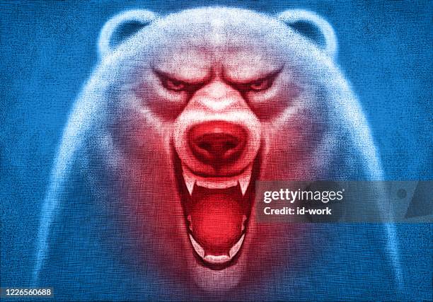 angry polar bear head - snarling stock illustrations