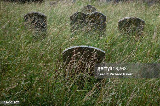 Headstones stand in long grass of the cemetery at the Church of St. Lawrence, on 10th July 2020, in Great Waldingfield, Suffolk, England.