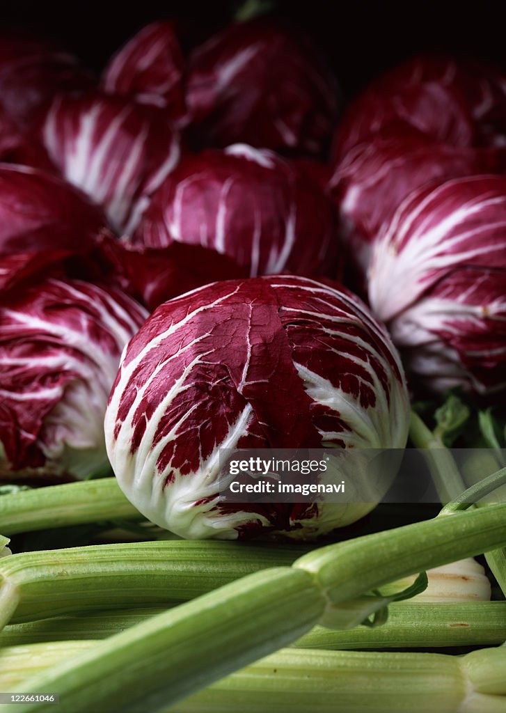 Radicchio and Celery