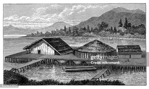 old engraved illustration of lake dwellings and articles connected with them - bronze age stock pictures, royalty-free photos & images