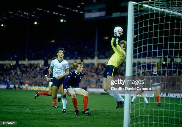 Alan Rough 181,330 Allsport Football Stock Photos, High-Res Pictures, and Images ...
