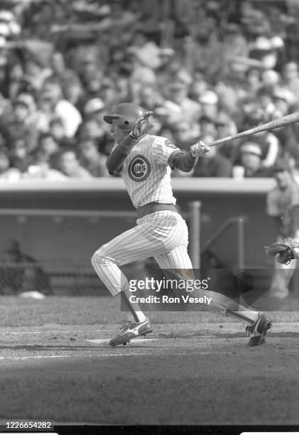Bobby Denier of the Chicago Cubs bats during a MLB game at Wrigley Field in Chicago, Illinois. Denier played for the Chicago Cubs from 1984-87.