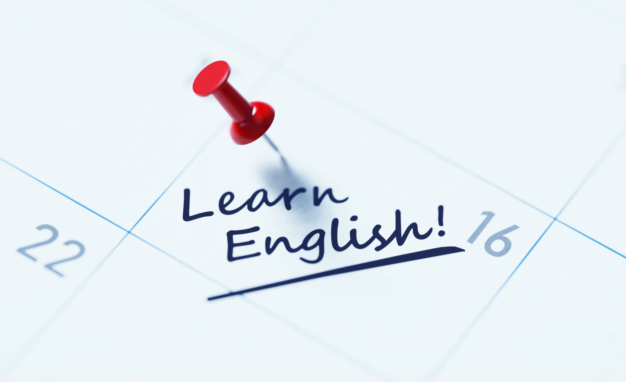 language class schedule