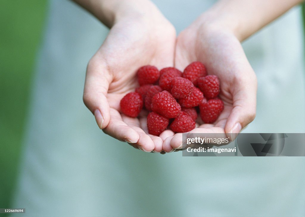 Stock Photo Rasberries Rasberries High-Res Stock Photo - Getty Images