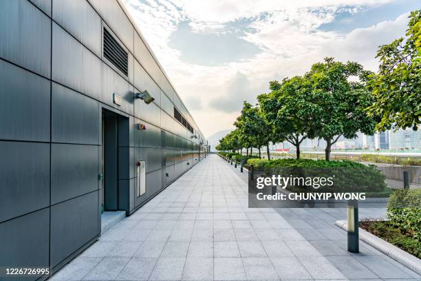 het park bij hong kong - pavement stockfoto's en -beelden