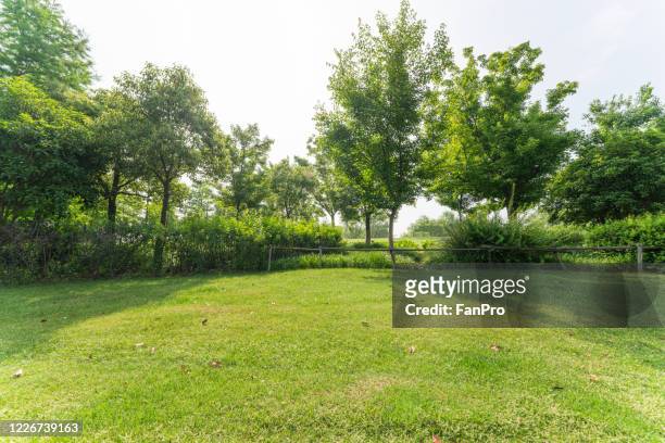 empty lawn and forest park - garden stock pictures, royalty-free photos & images