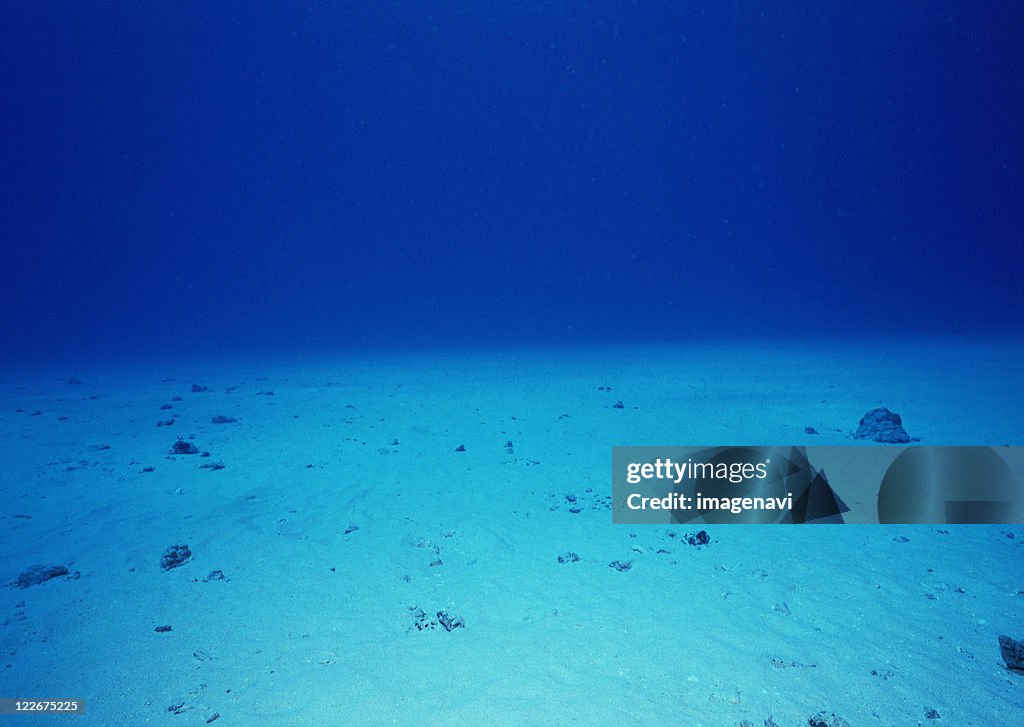 Bottom of Sea