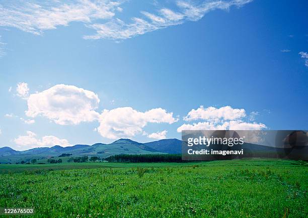 grassy plain - 草地 ストックフォトと画像