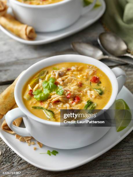 cremige thai-, hühner- und reissuppe mit frühlingsrollen - curry soup stock-fotos und bilder