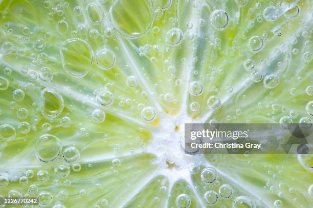 lime slice in seltzer water - carbonated water fotografías e imágenes de stock