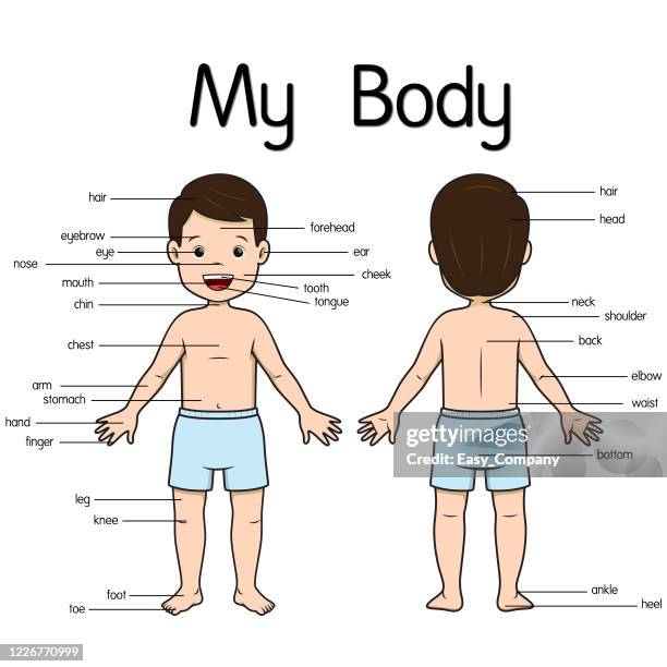 ilustraciones, imágenes clip art, dibujos animados e iconos de stock de ilustración que muestra la ubicación del cuerpo de un niño cabello negro se para sin camisa, pero lleva pantalones azules. fondo blanco para ensamblar o crear materiales didácticos para mamás que hacen educación en casa y maestros que buscan imágene - but