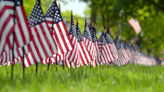 Row of American Flags Sit on Grass Lawn of Government Building