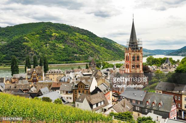 bacharach  in germany - bacharach stock pictures, royalty-free photos & images