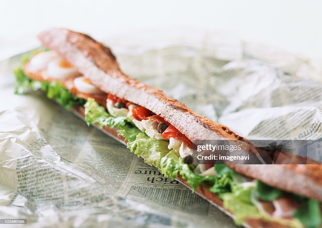 Baguette Sand of Salmon