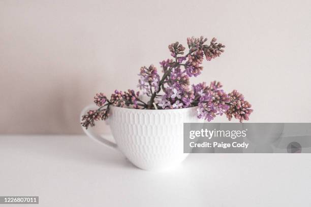 lilacs in a tea cup - purple lilac stock pictures, royalty-free photos & images