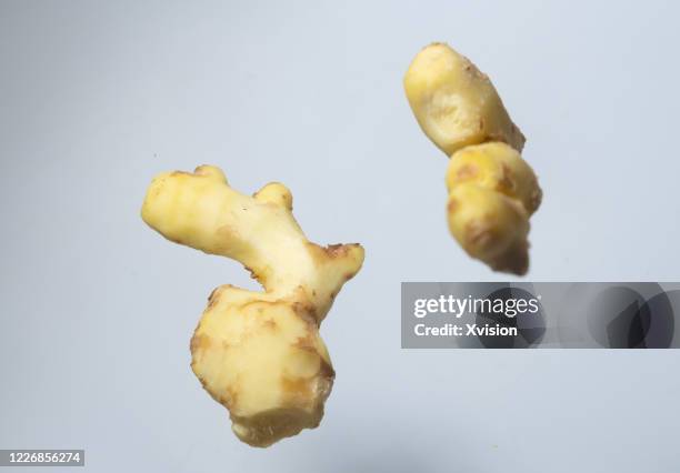 Ginger Falling Ground Ginger On White Photos and Premium High Res Pictures - Getty Images