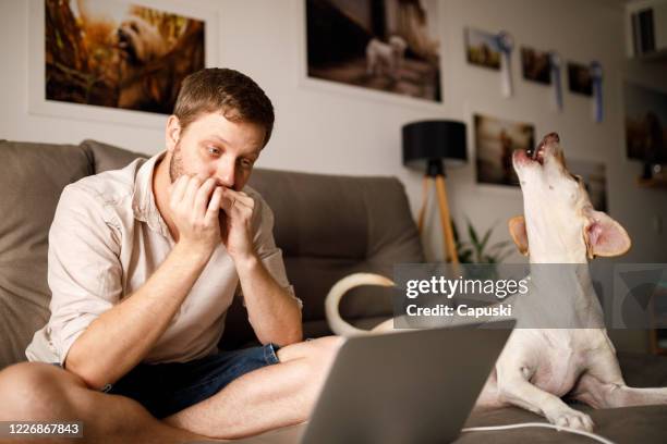 man and his dog singing on a video call - howling stock pictures, royalty-free photos & images