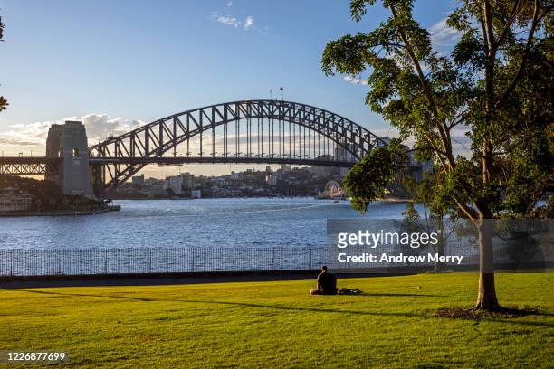 sydney harbour bridge and public park with green grass and tree, australia - the rocks sydney stock-fotos und bilder