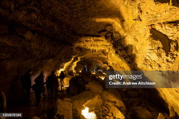 Abercrave Caves Photos and Premium High Res Pictures - Getty Images