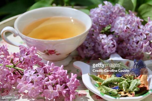 tea time in the garden - purple lilac stock pictures, royalty-free photos & images