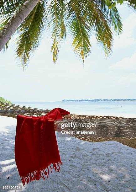 pareu and hammock - pareo foto e immagini stock