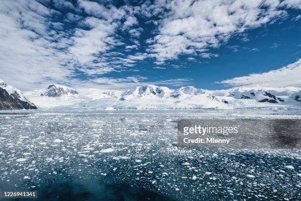 antarctica peninsula glaciers south pole - melting ice stock pictures, royalty-free photos & images