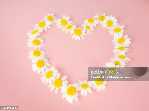 a heart made with daisies on a wooden table - hearts - playing card foto e immagini stock