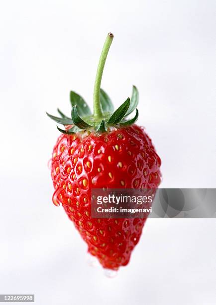 strawberry - fraises fond blanc photos et images de collection