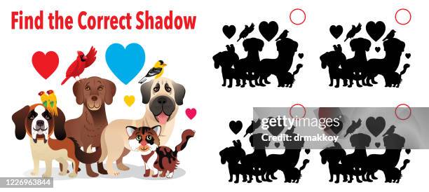 find the correct shadows, cat, dog and birds - cardinals game stock illustrations