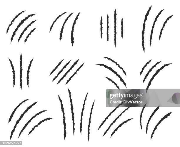 stockillustraties, clipart, cartoons en iconen met klauwen krassen vector set - klauw-lichaamsdeel-van-dieren