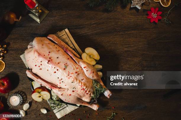 cucinare la cena di natale - oca pollame foto e immagini stock