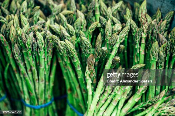 fresh asparagus for sale at the farmer's market - asparagus stock pictures, royalty-free photos & images