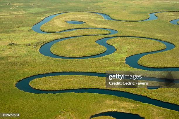 okavango river - okavango delta stock pictures, royalty-free photos & images