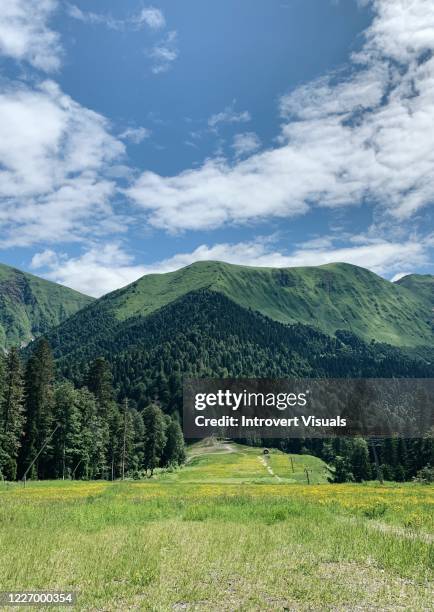 beautiful green mountains landscape with cloudy blue sky - green mountain range stock pictures, royalty-free photos & images