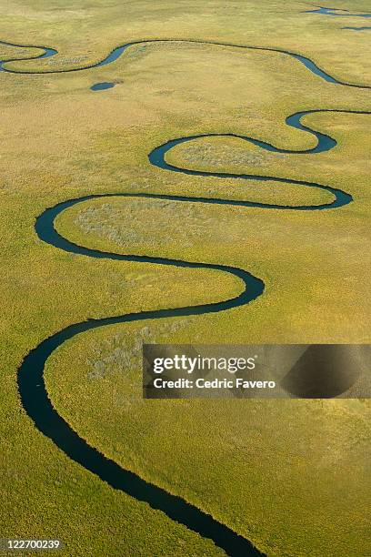 upper okavango - okawangodelta stock-fotos und bilder