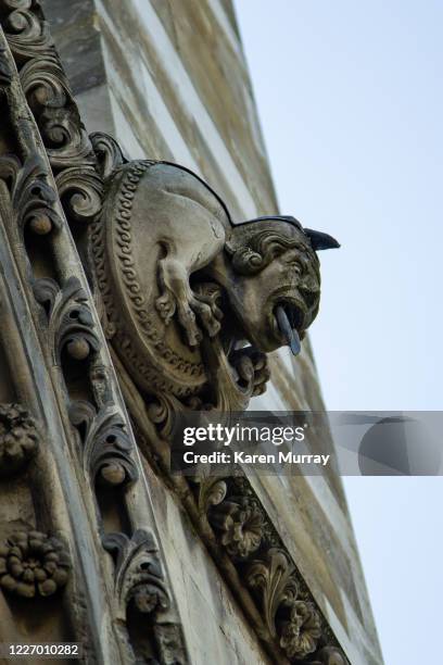 westminster abbey gargoyle - westminster abbey stock pictures, royalty-free photos & images